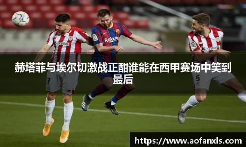 365WM完美体育官方网站