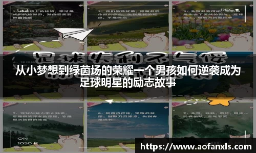 365WM完美体育官方app