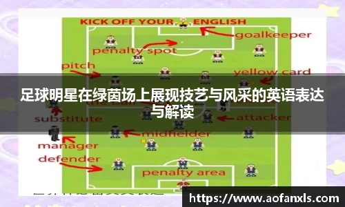 365WM完美体育官网